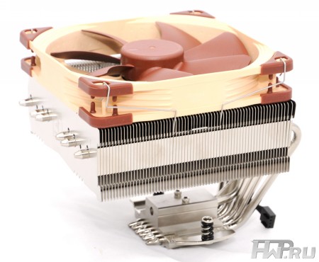 Noctua_1sm.jpg