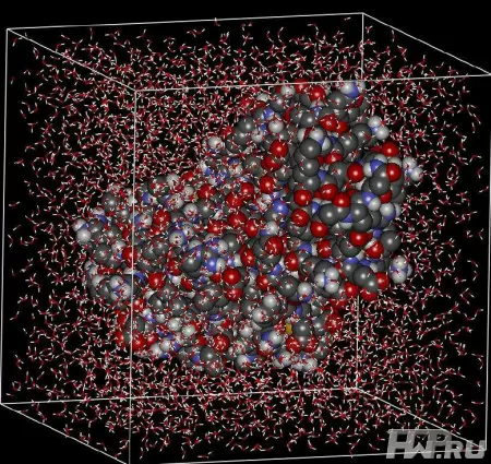 Моделирование 3D-структуры протеина