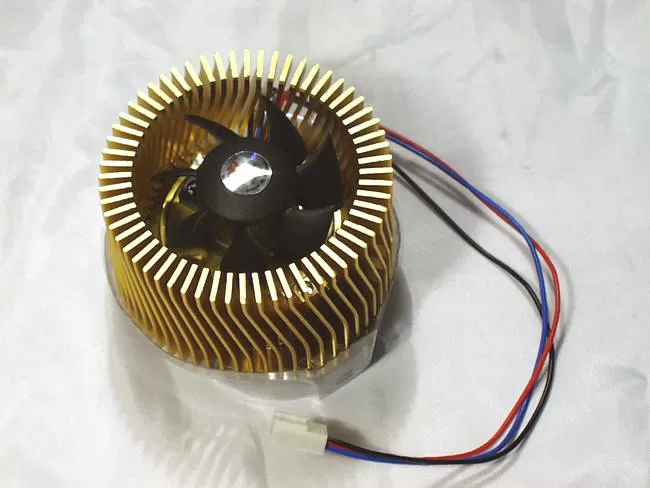 Golden Orb сзади