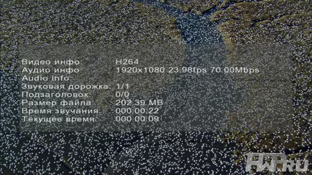 Тест "птички" Averlife Extreme Vision