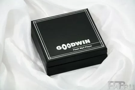 Goodwin MP-01