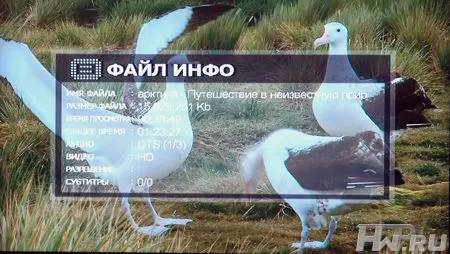 FullHD плеер IconBIT HD400L