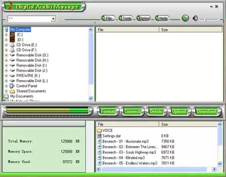 Digital Audio Manager