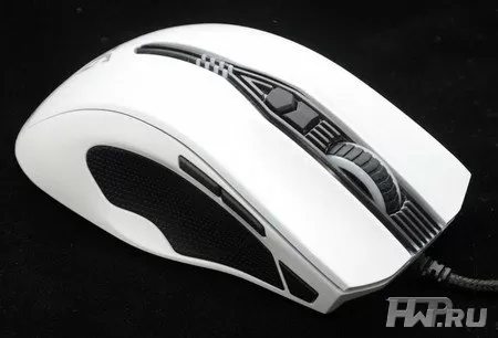EpicGear Gekkota