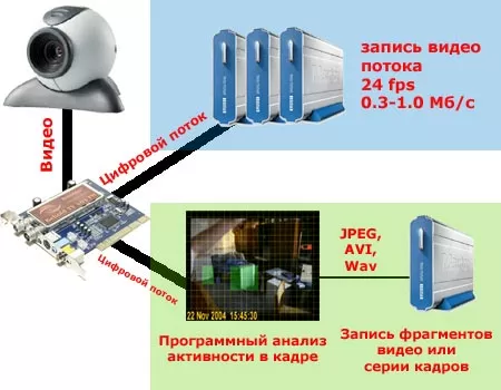 Анализ активности в кадре