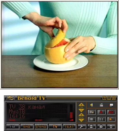 Программа BeholdTV