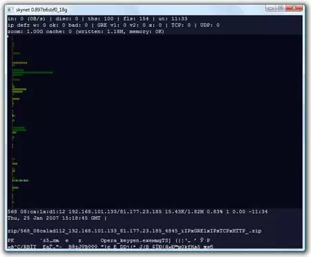 Запуск программы SkyNet