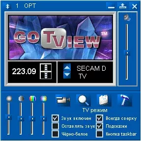 Программа просмотра GoTView