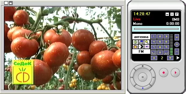 Программное обеспечение