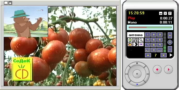 Картинка в картинке