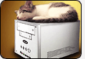 Shuttle XPC SB95P V2 - флагман barebone платформ с поддержкой DDR-II и 1000 МГц шиной FSB