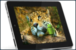 Обзор Android планшета iconBIT NetTAB RUNE - опасный игрок